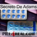 Adams Secret 40